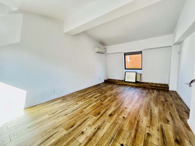 Ion Mihalache, Aviatorilor, Arcul de Triumf,