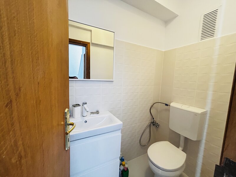 Ion Mihalache, Aviatorilor, Arcul de Triumf,