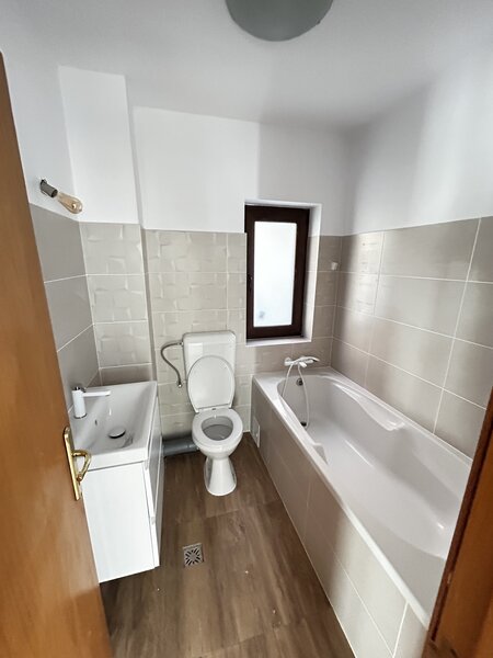 Ion Mihalache, Aviatorilor, Arcul de Triumf,